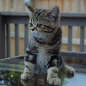 Meet your Posher, Cathy